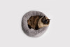 La Doggie Vita Donut Plush Bed
