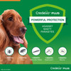 Credelio Plus Flea, Tick and Worming for Medium Dogs 5.5 to 11kg Orange