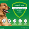 Credelio Plus Flea, Tick and Worming for Large Dogs 11 to 22kg Green