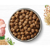 Ivory Coat Dry Dog Food Large Breed Turkey and Brown Rice 15kg