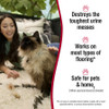 Nature's Miracle Urine Destroyer for Cats