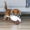 La Doggie Vita Kaos Kookaburra Plush Dog Toy With Squeaker