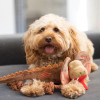 La Doggie Vita Livid Lizard Rope & Plush Dog Toy With Squeaker
