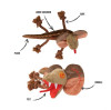 La Doggie Vita Livid Lizard Rope & Plush Dog Toy With Squeaker