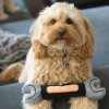 La Doggie Vita Spanner Plush Dog Toy With Squeaker