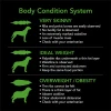 Supercoat Adult Healthy Weight Chicken Dry Dog Food 18kg