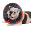 Kazoo Comfy Recovery Collar