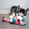 KONG Knot Twists Assorted Dog Toy