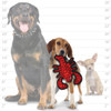 Tuffy Sea Creatures Toy Jr. Larry Lobster