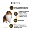 Pro Plan Adult Medium Breed Chicken Dry Dog Food