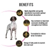 Pro Plan Adult Medium Breed Sensitive Skin & Stomach Dry Dog Food