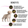 Pro Plan Puppy Sensitive Skin & Stomach Dry Dog Food