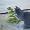 Kazoo Stimulating Springy Snake Cat Toy