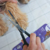 Kazoo Thinning Pet Scissors