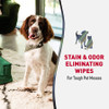Nature's Miracle Advance Stain & Odor Eliminator Wipes