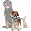 Tuffy Alien UFO Dog Toy