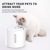 Petkit Eversweet Solo 2 Water Fountain