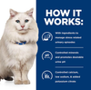Hill's Prescription Diet C/D Multicare Stress Adult Dry Cat Food