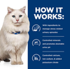 Hill's Prescription Diet C/D Multicare Stress Adult Dry Cat Food 1.8kg