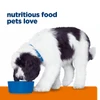 Hill's Prescription Diet c/d Multicare Urinary Care Dry Dog Food 7.98kg