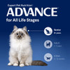 ADVANCE Healthy Ageing Dry Cat Food | Chicken