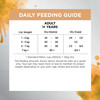 Ivory Coat Raw Health & Wellbeing Dry Cat Food