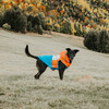 Huskimo Snowparka Orange Dog Coat