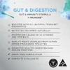 Ivory Coat Raw Health Gut & Digestion Formula Wet Cat Food