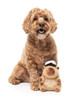 Fuzzyard Capy-Tain Dog Toy