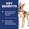 Hill's Science Diet Salmon & Brown Rice Adult Dry Dog Food
