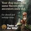 Taste of the Wild Wetlands with Fowl in Gravy Wet Dog Food