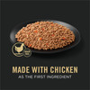 Pro Plan Classic Adult Chicken & Carrots Entrée Complete Essentials Wet Dog Food