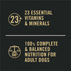 Pro Plan Classic Adult Salmon & Rice Entrée Sensitive Skin & Stomach Wet Dog Food