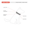Ezy Dog Oxford Leather Black Dog Collar