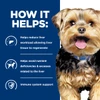 Hill's Prescription Diet L/D Liver Care Wet Dog Food
