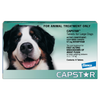 Capstar Flea Treatment For Large Dogs
