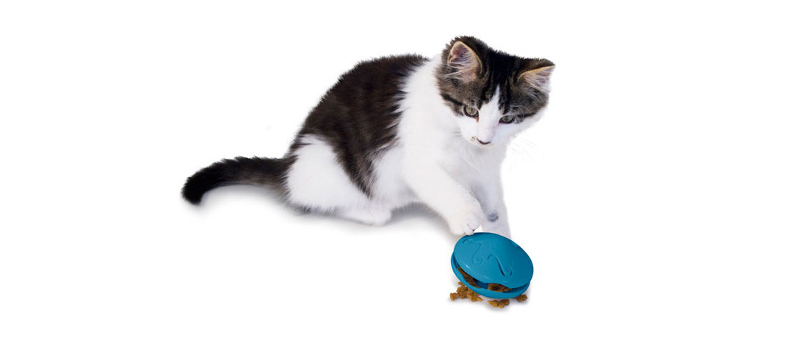 Cat Playtime Interactive Feeders