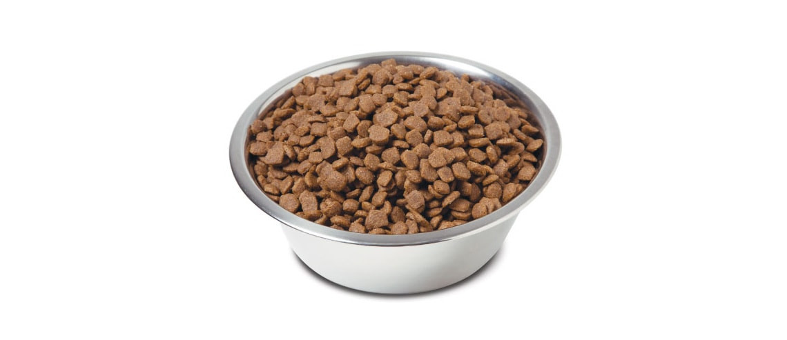 Dog Nutrition - Benefits of Premium Nutrition Kibble