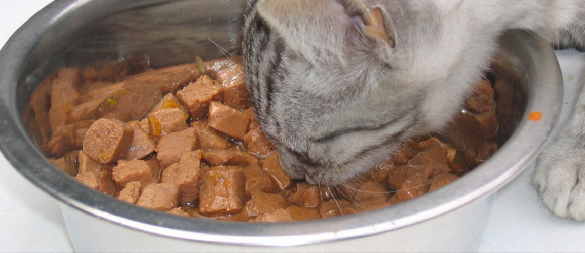 Cat Benefits of Premium Nutrition Tins