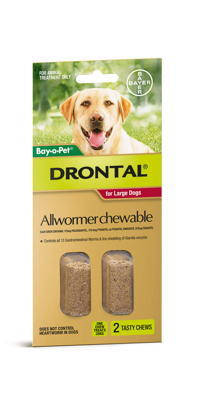 drontal large dog wormer
