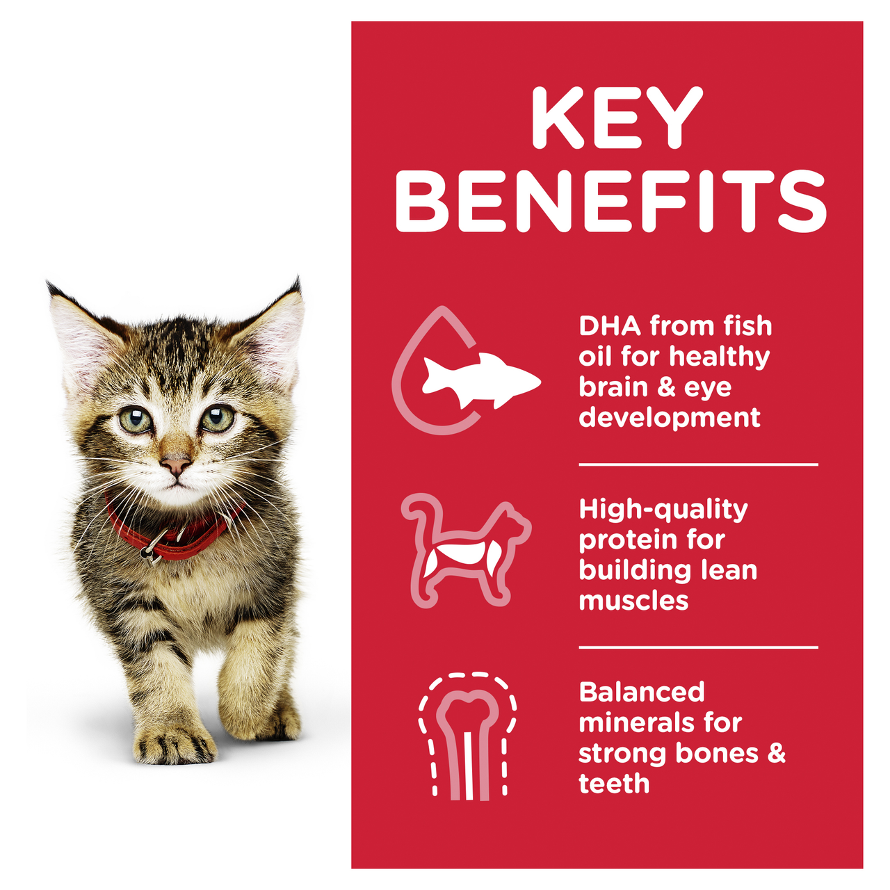 Hill's Science Diet Kitten Healthy Development Ocean Fish Wet Cat Food