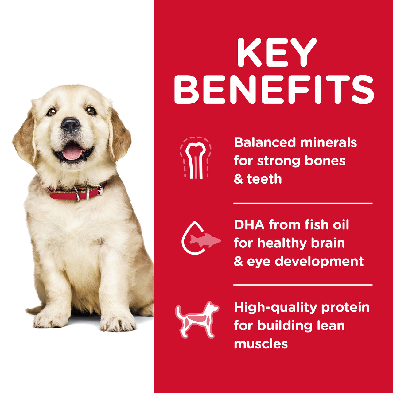 Hill's Science Diet Large Breed Puppy Food 312kg PetO