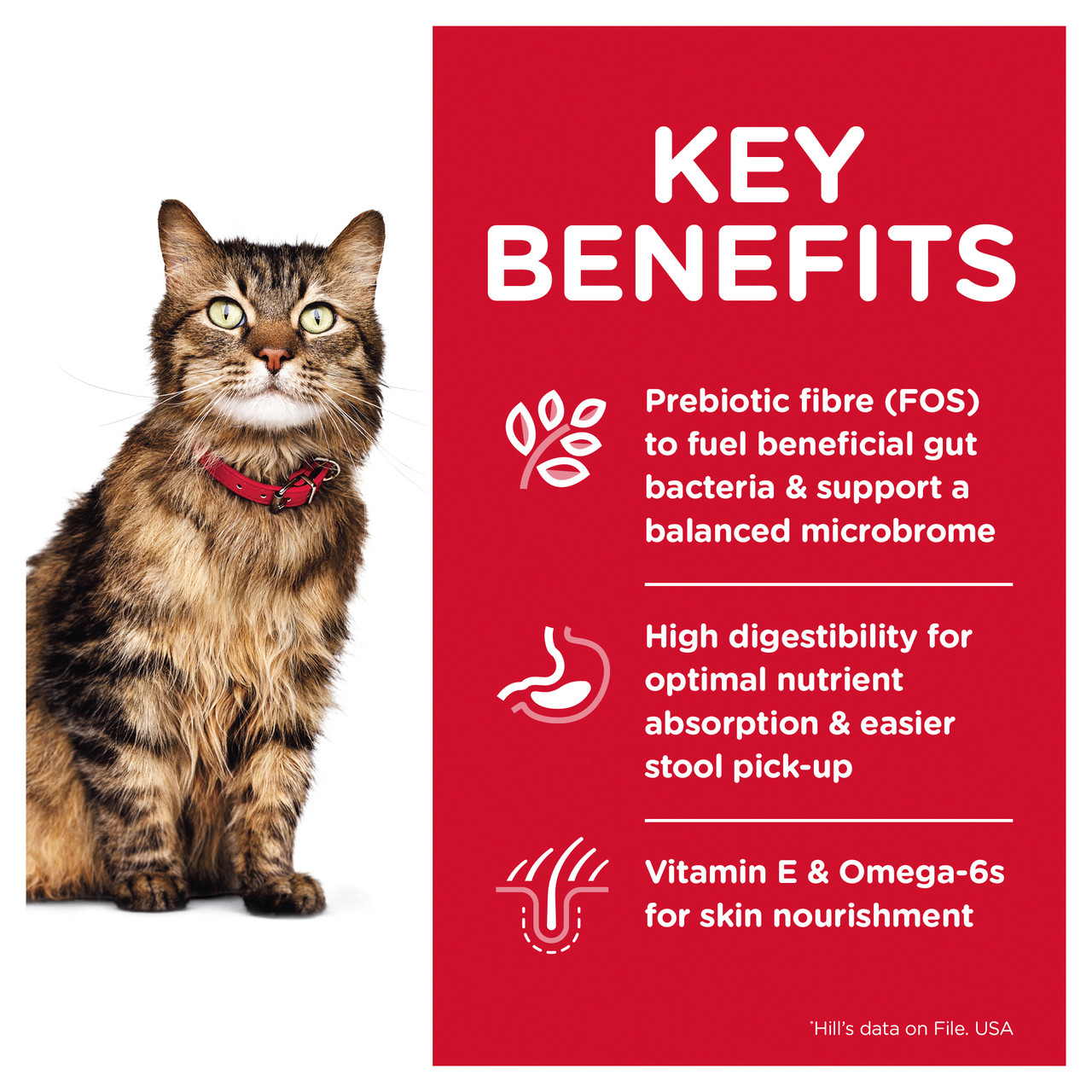 Hill's Science Diet Sensitive Stomach & Skin Adult Dry Cat Food