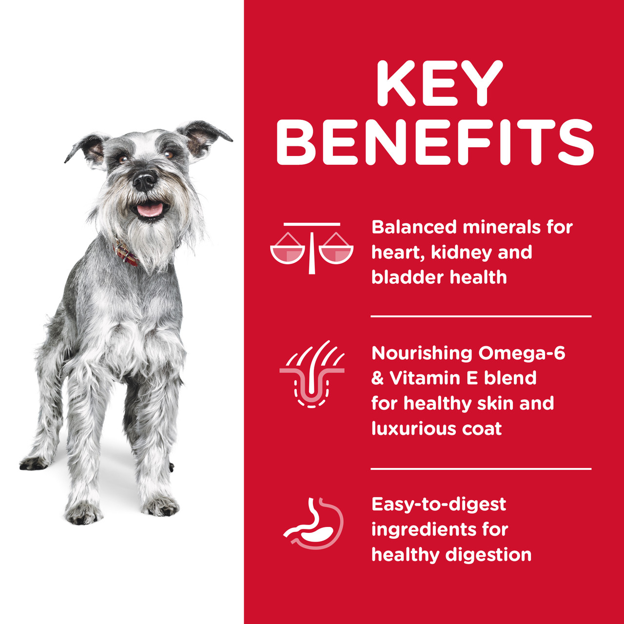 Hill's Science Diet Small Paws Senior Dry Dog Food