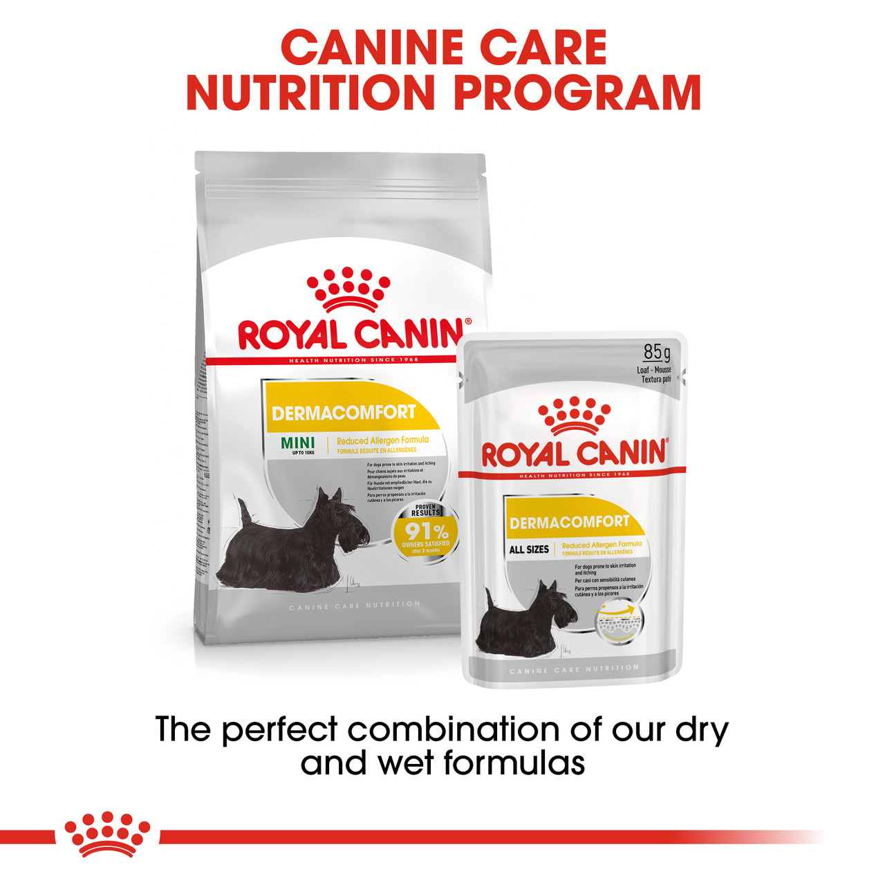 8キロ　 CANIN DERMACOMFORT MINI Royal Canin Mini Dermacomfort Care Adult Dry Dog Food
