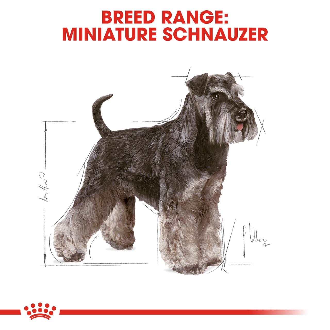 Royal Canin Miniature Schnauzer Adult Dry Dog Food PetO