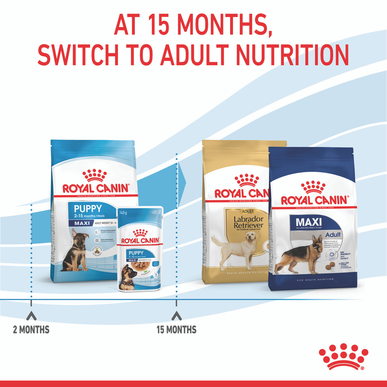 Royal Canin Maxi Puppy Dry Dog Food
