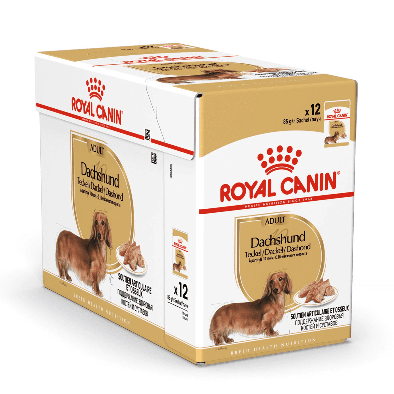 royal canin dachshund teckel