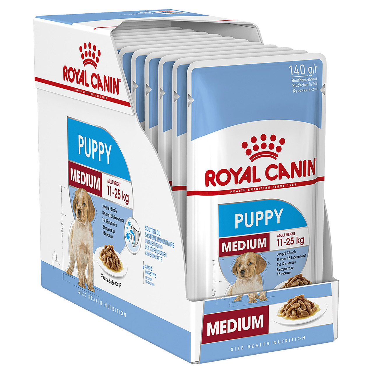 royal medium puppy