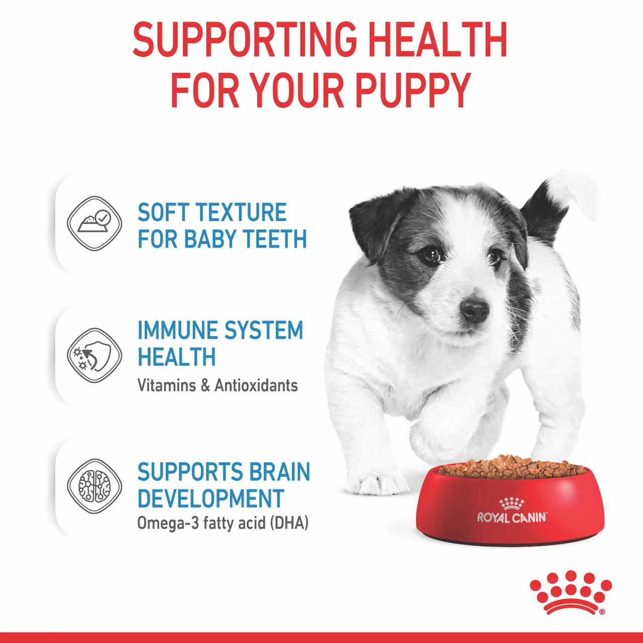 Royal Canin Mini Puppy Wet Dog Food Pouches PetO